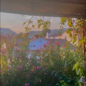 Meet your Posher, Amelia